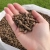 obornik-granulowany-nawoz-organiczny-obornik-bydlecy